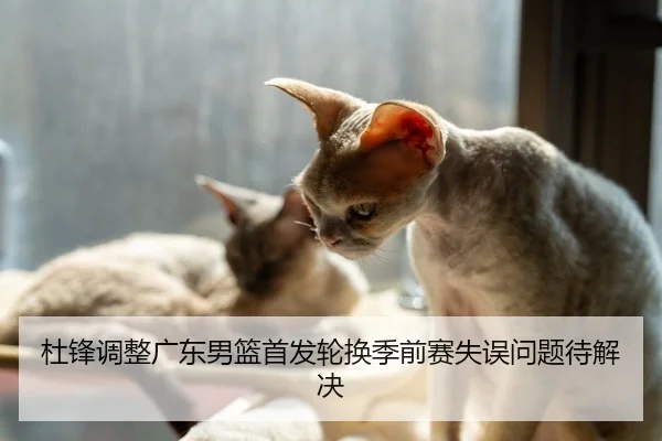 杜锋调整广东男篮首发轮换季前赛失误问题待解决